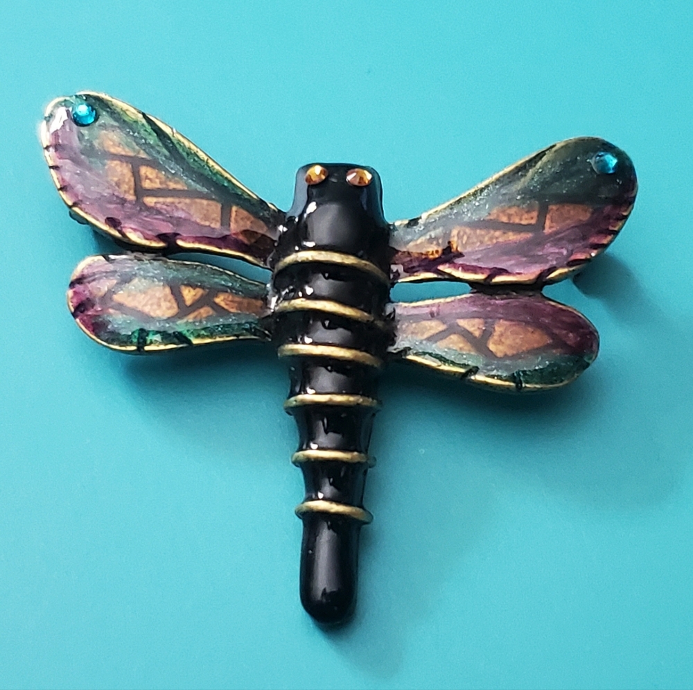 Chico's Enamel Dragonfly Brooch